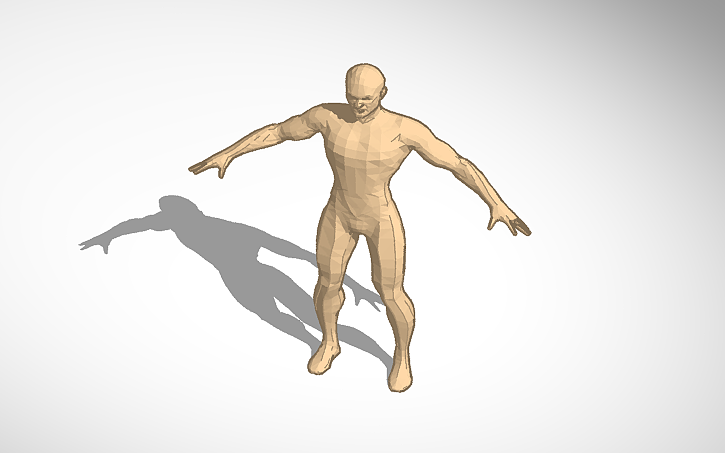 3D design Copy of Human body - Tinkercad