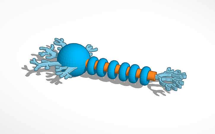 3D design Neuron - Tinkercad
