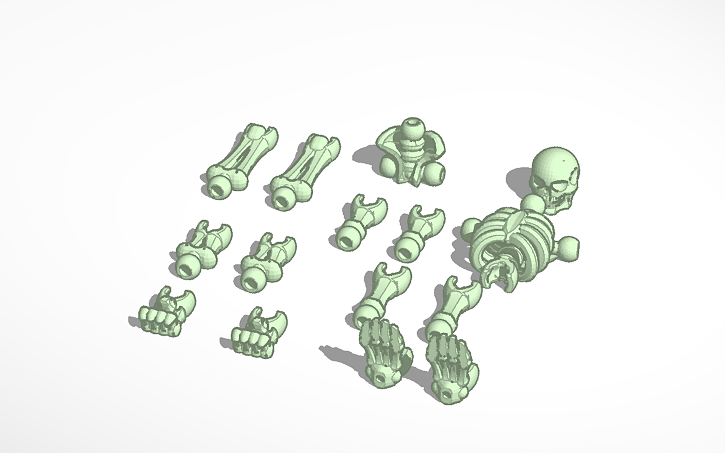 Project Skelleton 3D design skelleton - Tinkercad