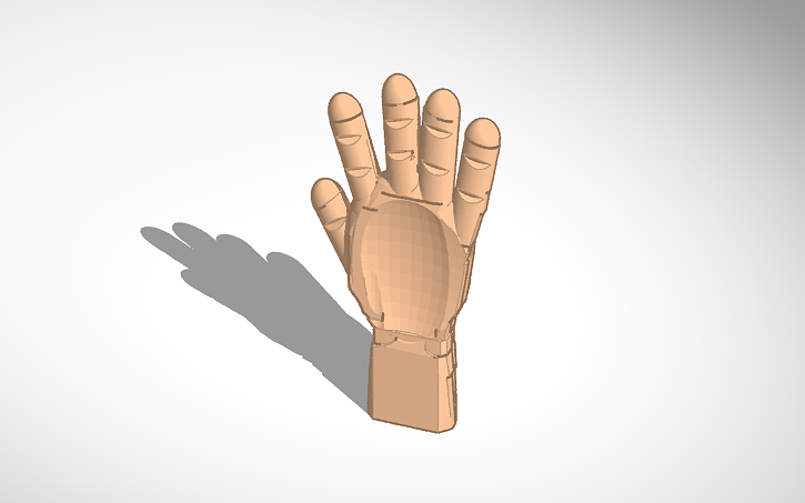 3D design hand - Tinkercad