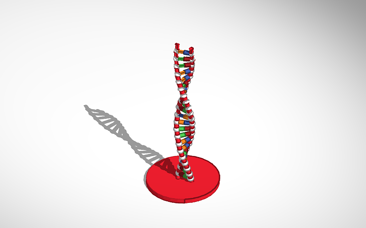 3D design DNA Model - Tinkercad