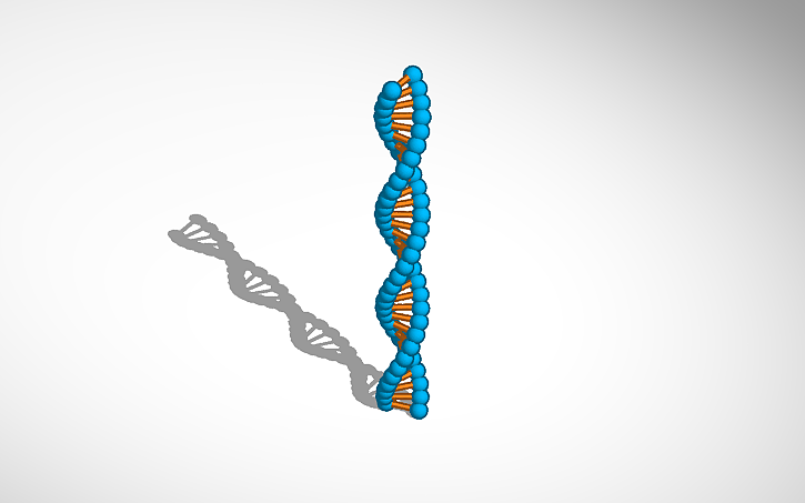 3D design DNA - Tinkercad