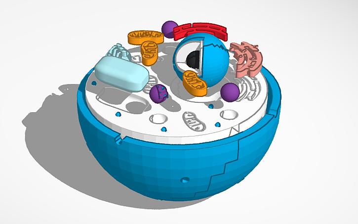 Test Cell Tinker 3D design Cell Model - Tinkercad