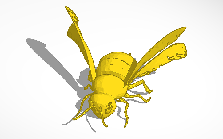 3D design Bee - Tinkercad