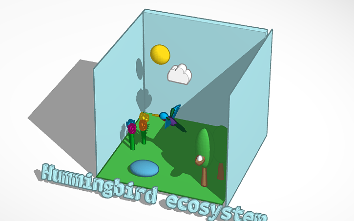 3D design Hummingbird Diorama - Tinkercad