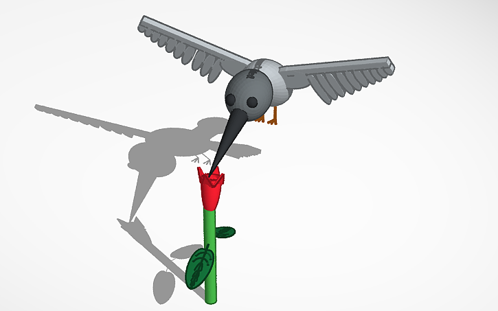 3D design hummingbird - Tinkercad