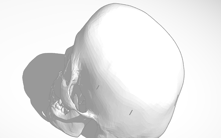 3D design Copy of Scull - Tinkercad