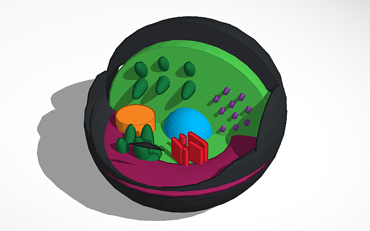 Test Cell Tinker 3D design cell - Tinkercad