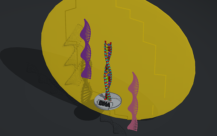 3D design DNA - Tinkercad