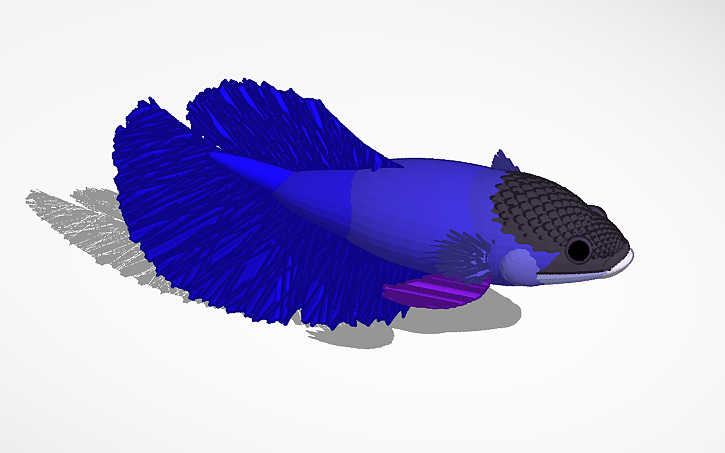 3D design fish #3 - Tinkercad