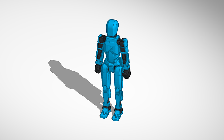 3D design Dummy 13 ragdoll - Tinkercad