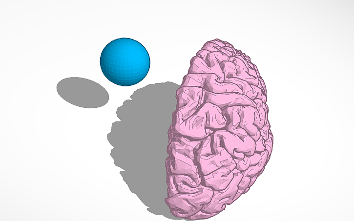 3D design Ashley's Brain - Tinkercad
