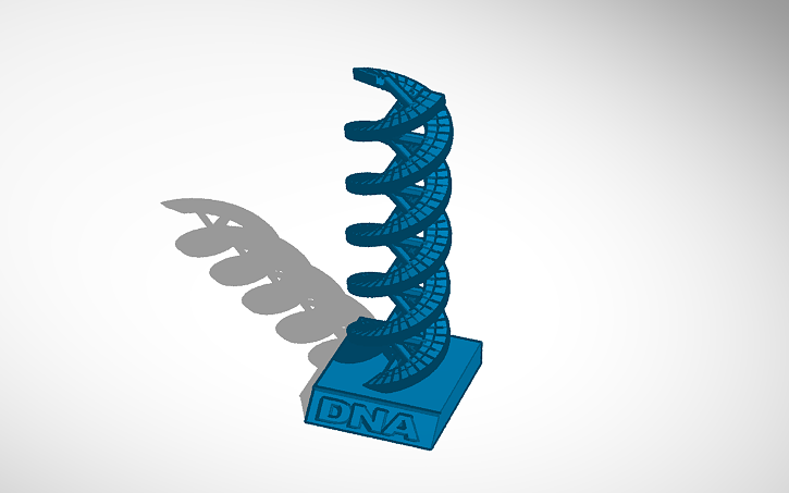 3D design DNA - Tinkercad
