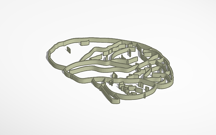 3D design Brain puzzle - Tinkercad
