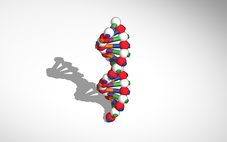 3D design DNA - Tinkercad