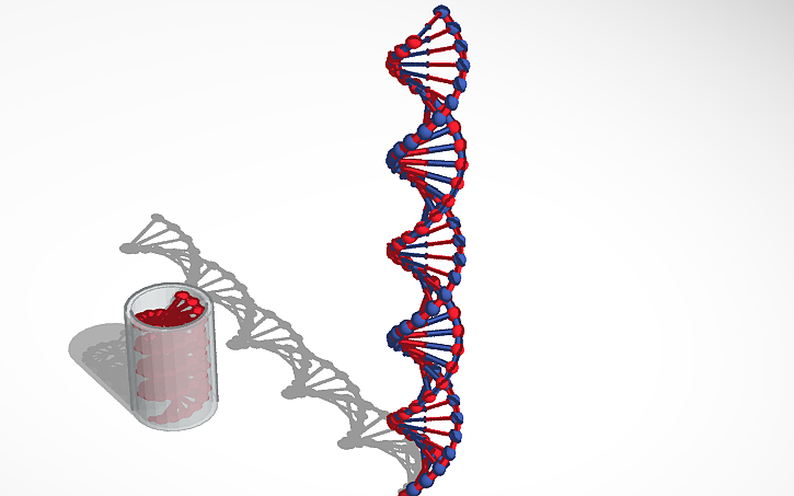 3D design DNA - Tinkercad