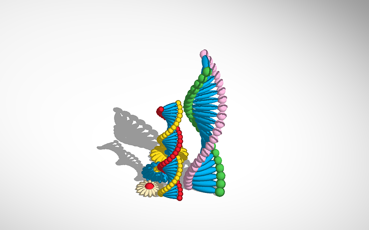 3D design dna - Tinkercad