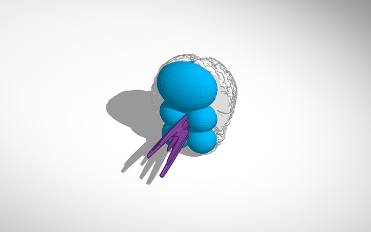 3D design 3D BPC Brain - Tinkercad