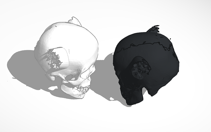 3D design Skull w. broken horns&fangs - Tinkercad