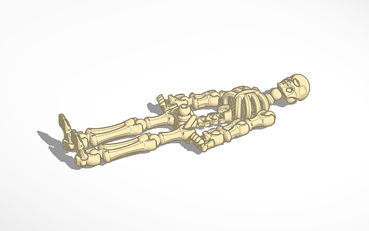 Skeleton Build Inventor 3D design Complete Skeleton - Tinkercad