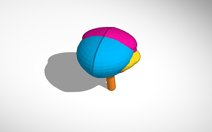 3D design Brain Model - Tinkercad
