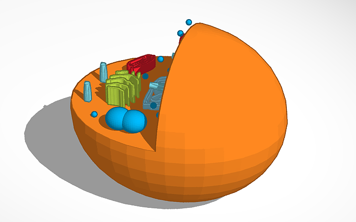3D design cell - Tinkercad