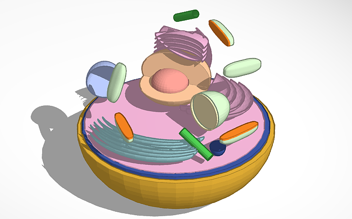 3D design Human cell - Tinkercad