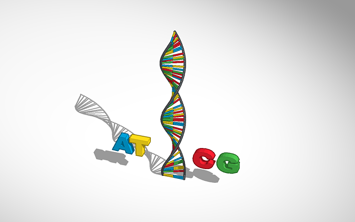 3D design DNA - Tinkercad
