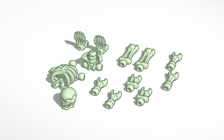 3D design Skeleton Kit - Tinkercad