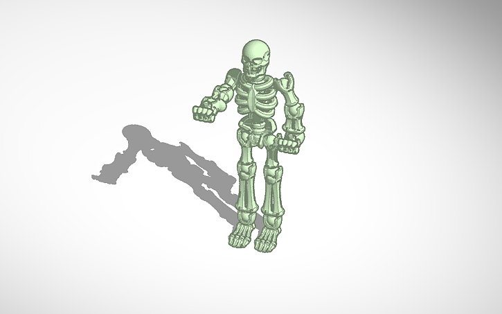 Skeleton Build Inventor 3D design skeleton - Tinkercad