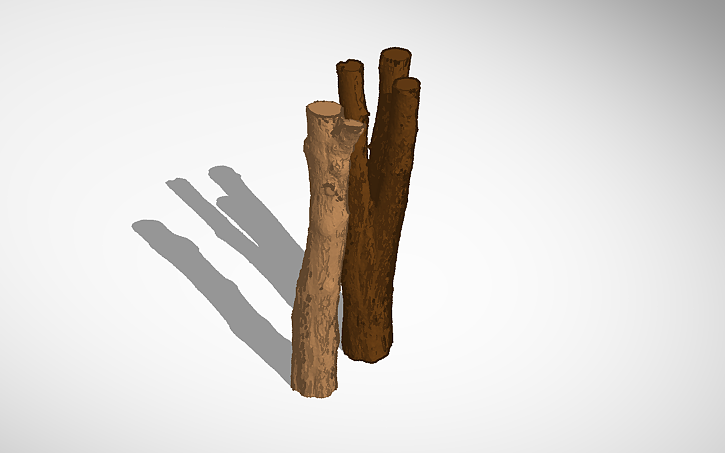 3D design Realistic tree trunk - Tinkercad