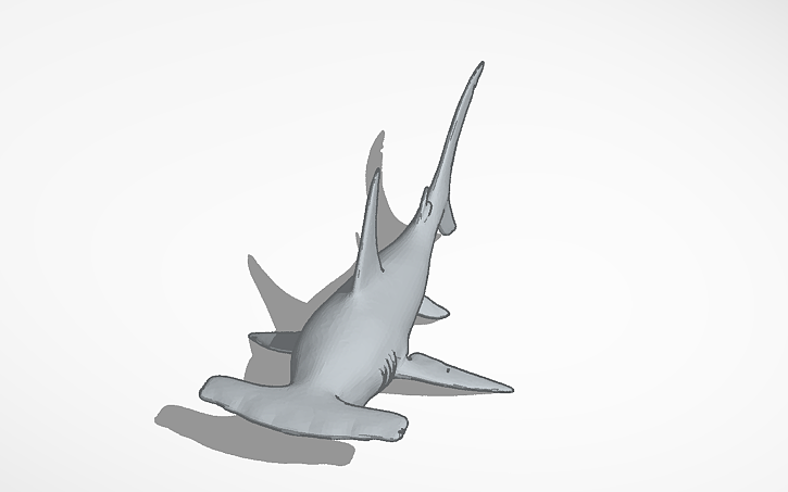 3D design Hammerhead - Tinkercad