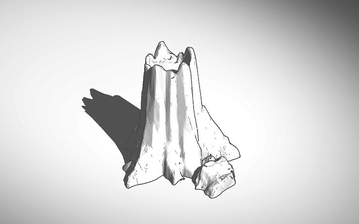 3D design trunk - Tinkercad