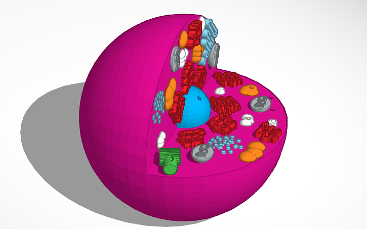 3D design cell - Tinkercad