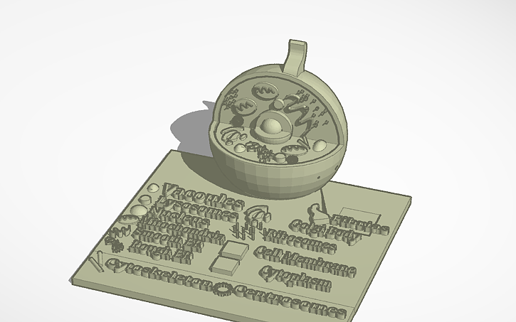 3D design cell - Tinkercad