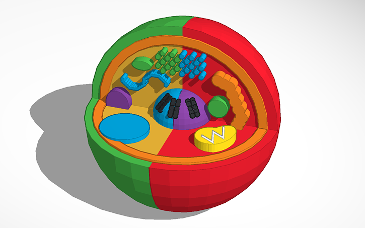 Test Cell Tinker 3D design Cell project - Tinkercad