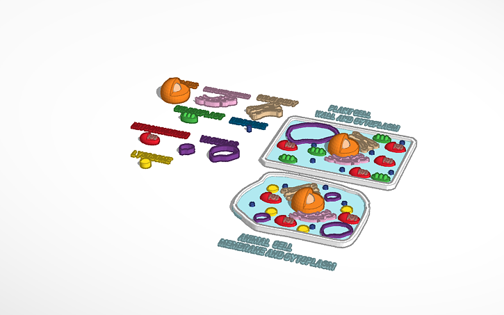 Test Cell Tinker 3D design Cells - Tinkercad