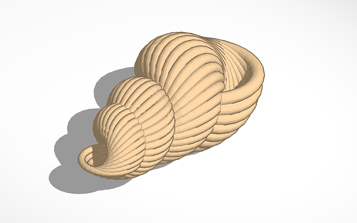 3D design Williams.Abby.shell.Blick - Tinkercad