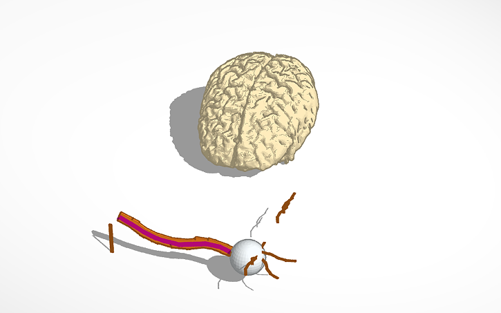 3D design Brain Cell - Tinkercad