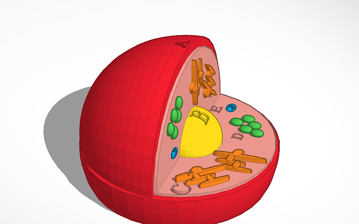 Test Cell Tinker 3D design Cell - Tinkercad