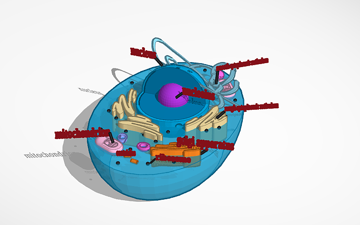 3D design Copy of Cell - Tinkercad