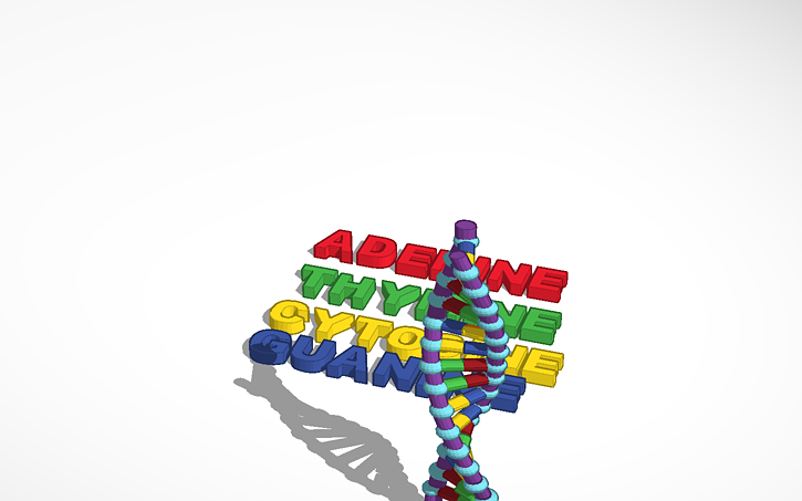 3D design DNA - Tinkercad
