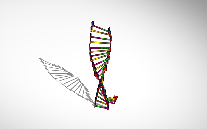 3D design DNA - Tinkercad