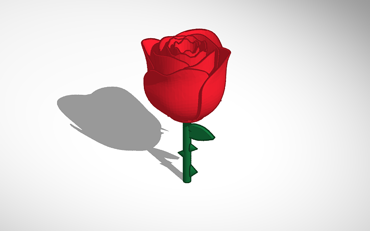 3D design Rose - Tinkercad
