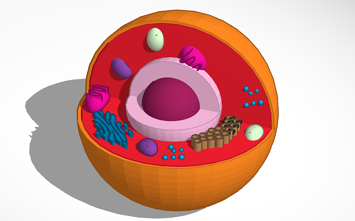 Test Cell Tinker 3D design cell - Tinkercad