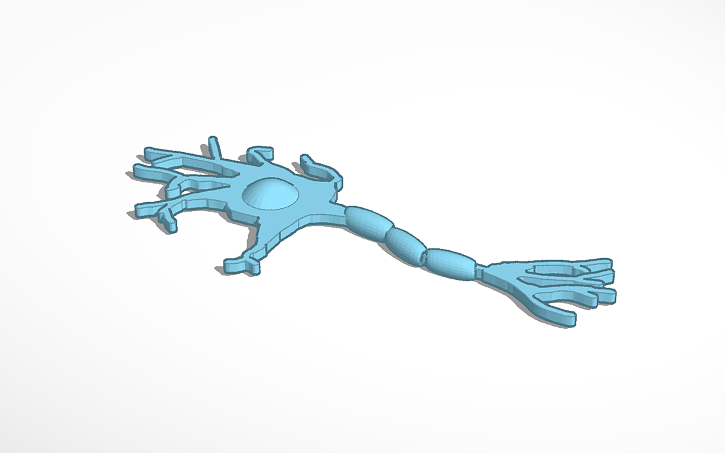 3D design Neuron - Tinkercad