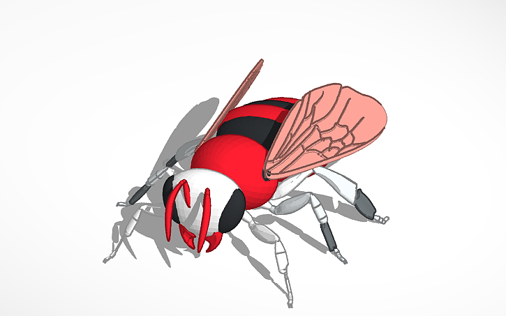 3D design BEE - Tinkercad