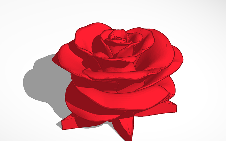 3D design roses - Tinkercad