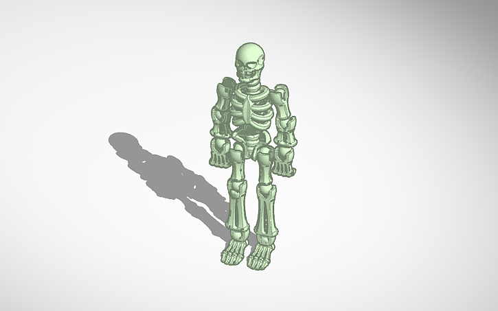 3D design skeleton ragdoll - Tinkercad