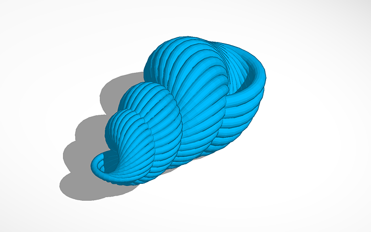 3D design Endless Shell - Tinkercad